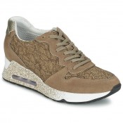 Achat / Vente Chaussures ASH Love Beige Basket Basses Femme Pas Cher