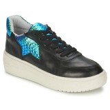 Authentique Chaussures ASH Fool Noir / Bleu Irisé Basket Basses Femme En Soldes