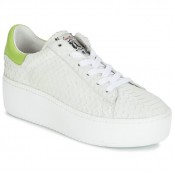 Boutique Chaussures ASH Cult Blanc Basket Basses Femme Réduction En Ligne