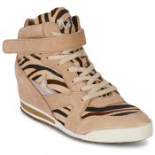 Chaussures ASH Jazz Zèbre Basket Montante Femme En Promotion