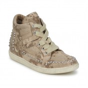 Chaussures ASH Zest Beige Basket Montante Femme Soldes Lyon