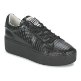 Nouvelle Chaussures ASH Cult Noir Basket Basses Femme Pas Cher Lyon